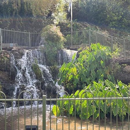 הגושרים צימר יערת הדבש מראה חיצוני תמונה
