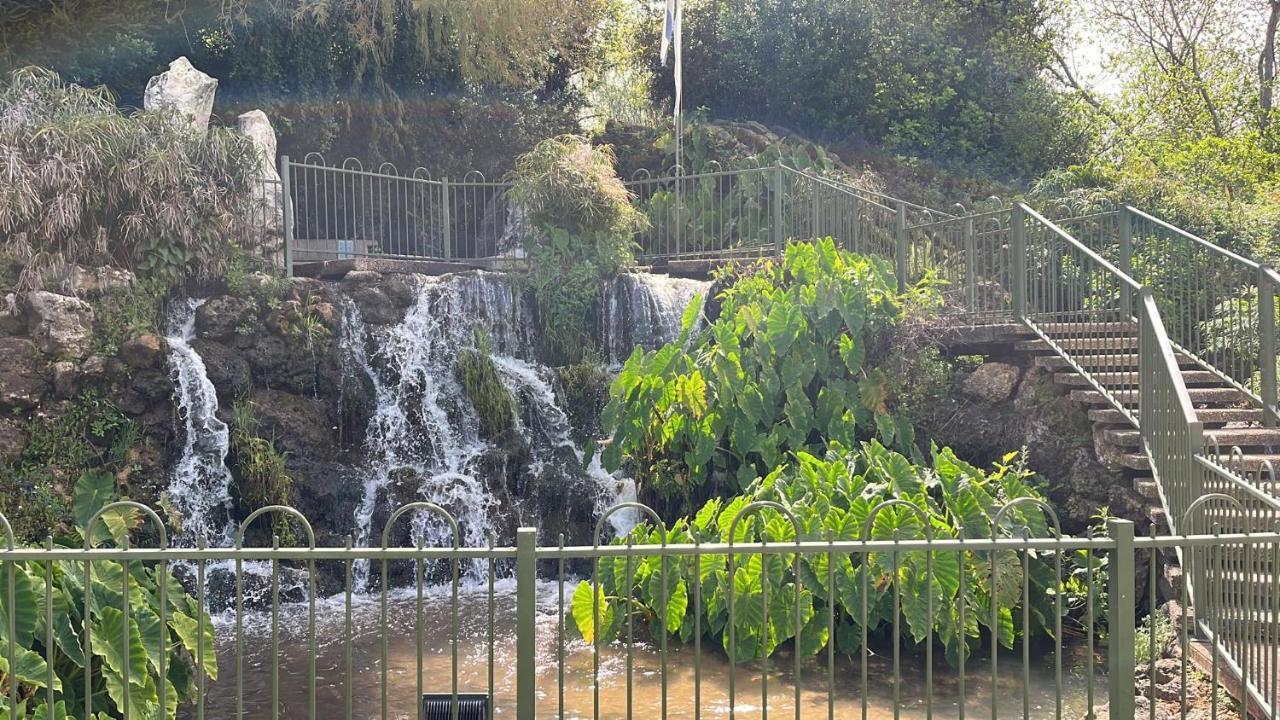 הגושרים צימר יערת הדבש מראה חיצוני תמונה